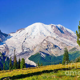 Mt Rainier from Sunrise by Greg Norrell
