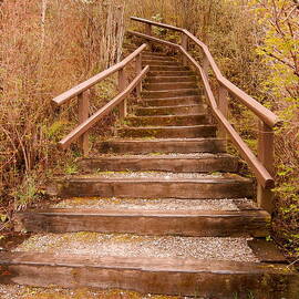 Natural Sepia Stairway