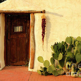 New Mexico Door at Sunset