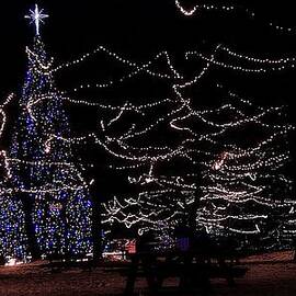 O Christmas Tree by Scott Hovind