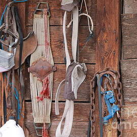 Old Tack in Color