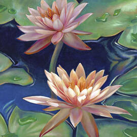 Peachy Pink Nymphaea Water Lilies by Nancy Tilles
