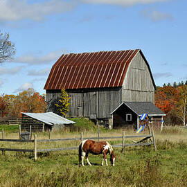 Pony and Barn