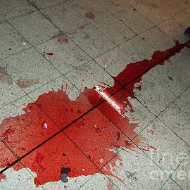 Puddle of red wine on the floor by Matthias Hauser