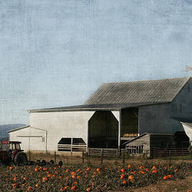 Pumpkin Farm by Kim Hojnacki