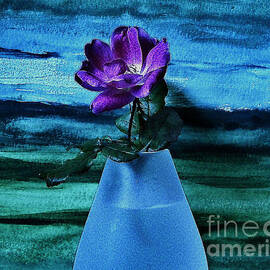 Purple Tea Rose by Marsha Heiken