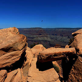 Raven Flying Near Ooh Aah Point by Julie Niemela