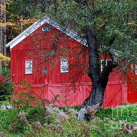 Red Barn in Autumn II