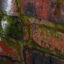 Red Brick Macro by Scott Hovind