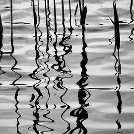 Reeds and Reflections No. 2 by David Gordon
