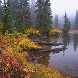 Reflection On Lake In Autumn Mount by Craig Tuttle