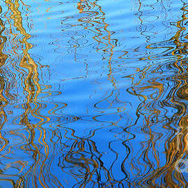 Reflections In Water