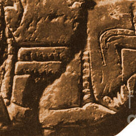 Riverboat On Ancient Seal by Science Source