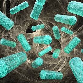 Rod-shaped Bacteria, Artwork