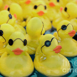 Rubber Ducks by Kim Fearheiley