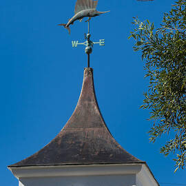 Sailfish Weather Vane at Palm Beach Shores by ED GLEICHMAN