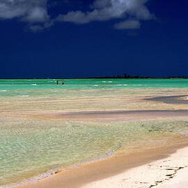 Sand and Sea by Sally Weigand