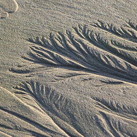 Sand Formations