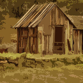 Shack by Bonnie Bruno