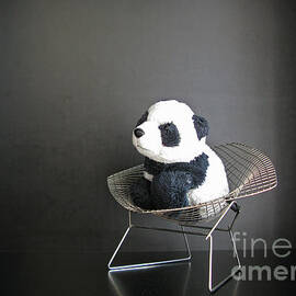 Sitting meditation. Floyd from Travelling Pandas series. by Ausra Huntington nee Paulauskaite