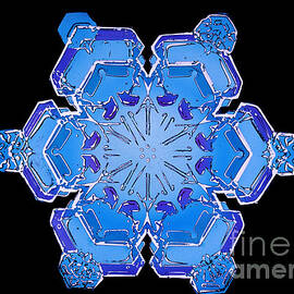 Snowflake From A Resin Cast by Science Source