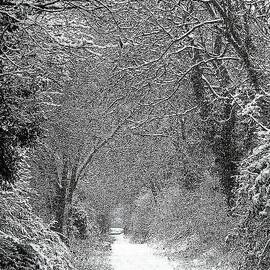 Snowy path