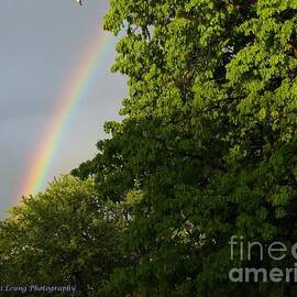 Somewhere Over The Rainbow by Lingfai Leung