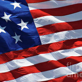 Star Spangled Banner - D001883