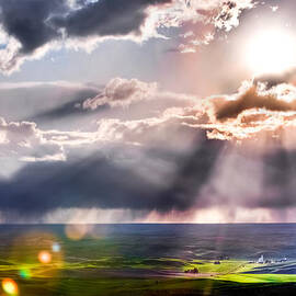 Sunburst 2 by Niels Nielsen