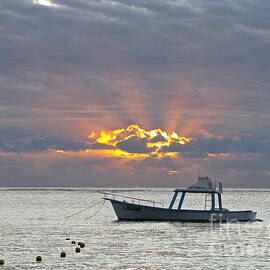 Sunrise - Puerto Morelos