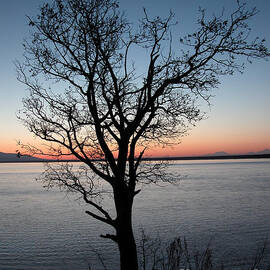 Sunset on Cook Inlet and Alaska Range by Gary Whitton