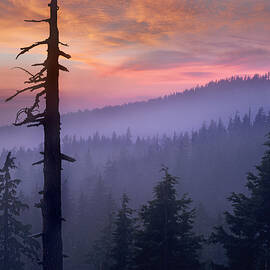 Sunset Over Forest Crater Lake National