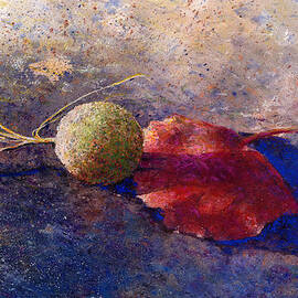 sycamore ball and leaf by Andrew King