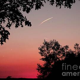 Tails of Light at Sunset