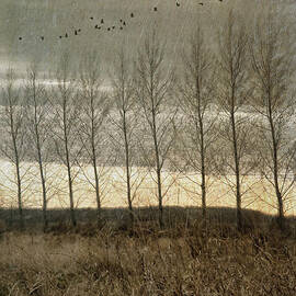 Tall grasses with line of trees in late fall by Sandra Cunningham