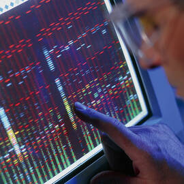 Technician Analyses A Gene Sequence On A Computer