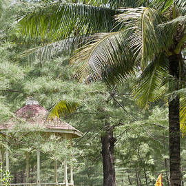 Thailand Tropics by Georgia Clare