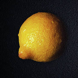 The Lazy Lemon by Andee Design