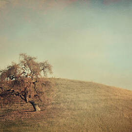 The Neverending Loneliness by Laurie Search