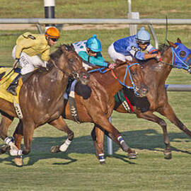 To the Line by Betsy Knapp