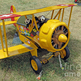 Travelling pandas. Ready to take off. Oshkosh 2012 by Ausra Huntington nee Paulauskaite