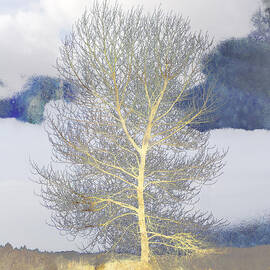 Tree and Clouds by Carol Leigh