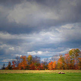 Tree Line on sunset Hill in New Hampshire by Nancy Griswold