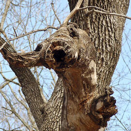 Tree Monster