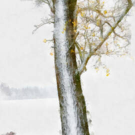 Tree with autumn leaves in the snow - Aquarell by Matthias Hauser
