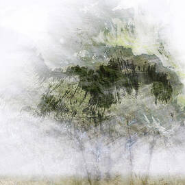 Trees Within Trees by Carol Leigh