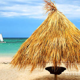 Tropical beach and palm umbrella by Elena Elisseeva