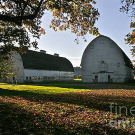 Twin Barns on an Autumn Afternoon