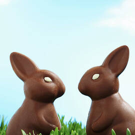 Two Chocolate Easter Bunnies Facing Each Other In Grass, Side View by Martin Poole