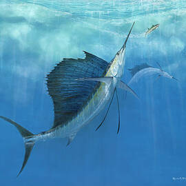 Two Of A Kind Sailfish by Kevin Brant
